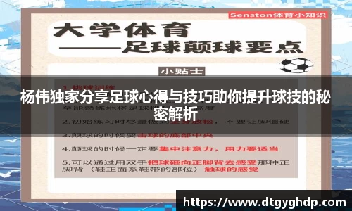 杨伟独家分享足球心得与技巧助你提升球技的秘密解析